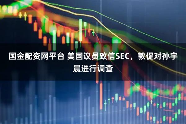 国金配资网平台 美国议员致信SEC，敦促对孙宇晨进行调查