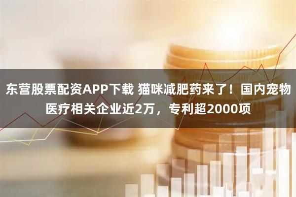 东营股票配资APP下载 猫咪减肥药来了！国内宠物医疗相关企业近2万，专利超2000项