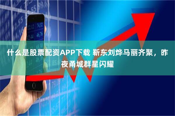 什么是股票配资APP下载 靳东刘烨马丽齐聚，昨夜甬城群星闪耀